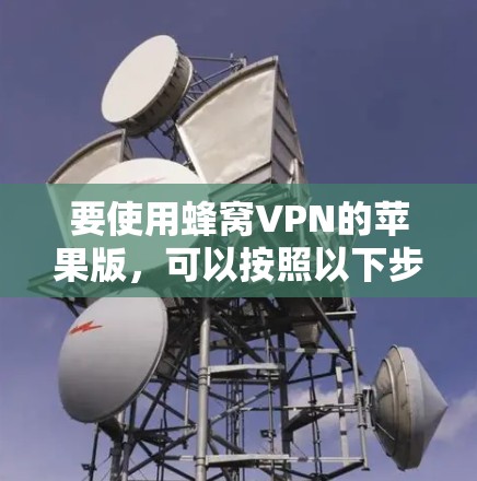 要使用蜂窝VPN的苹果版，可以按照以下步骤进行