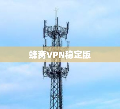 蜂窝VPN稳定版