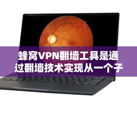 蜂窝VPN翻墙工具是通过翻墙技术实现从一个子网连接到更大的网络，从而提供VPN服务的网络服务。以下是对蜂窝VPN翻墙工具的详细说明