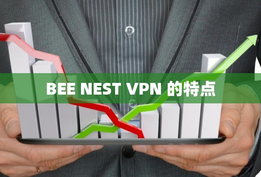 BEE NEST VPN 的特点