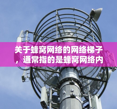 关于蜂窝网络的网络梯子，通常指的是蜂窝网络内部的网络架构和连接方式。蜂窝网络的网络梯子可能涉及以下特点