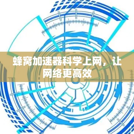 蜂窝加速器科学上网，让网络更高效