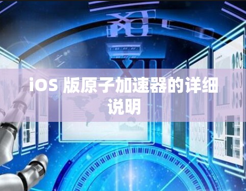 iOS 版原子加速器的详细说明