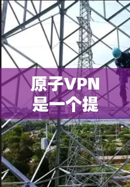 原子VPN是一个提供加密访问的网络服务，旨在让用户在加密的网络中使用加密的浏览器，从而实现匿名浏览。以下是关于原子VPN的基本信息和其与匿名浏览的区别