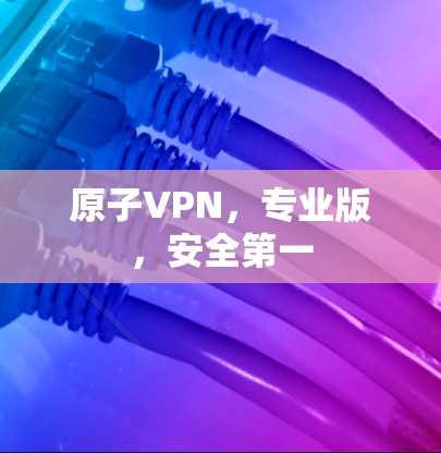 原子VPN，专业版，安全第一