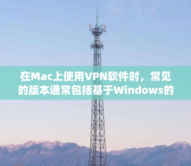 在Mac上使用VPN软件时，常见的版本通常包括基于Windows的软件，如NetNest、CoxNet、Copper等。这些软件主要功能包括