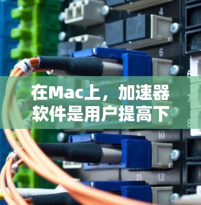 在Mac上，加速器软件是用户提高下载速度和网页加载效率的重要工具。以下是一些在Mac上常见的加速器软件及其功能概述