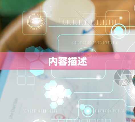 内容描述