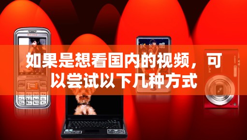如果是想看国内的视频，可以尝试以下几种方式