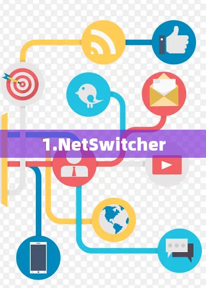 1.NetSwitcher