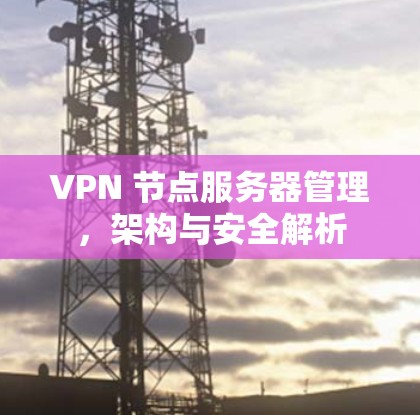 VPN 节点服务器管理，架构与安全解析