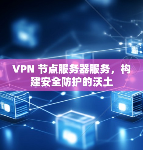 VPN 节点服务器服务，构建安全防护的沃土