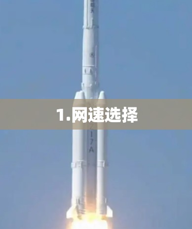 1.网速选择