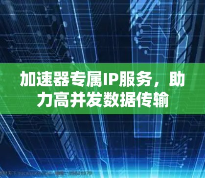 加速器专属IP服务，助力高并发数据传输