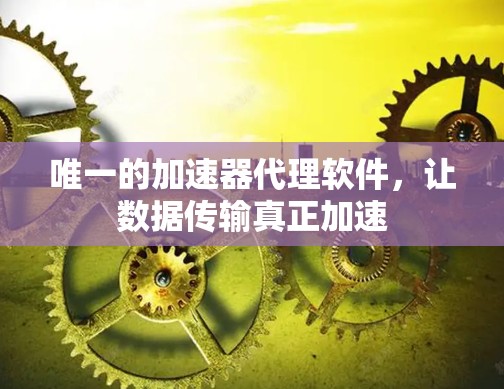 唯一的加速器代理软件，让数据传输真正加速