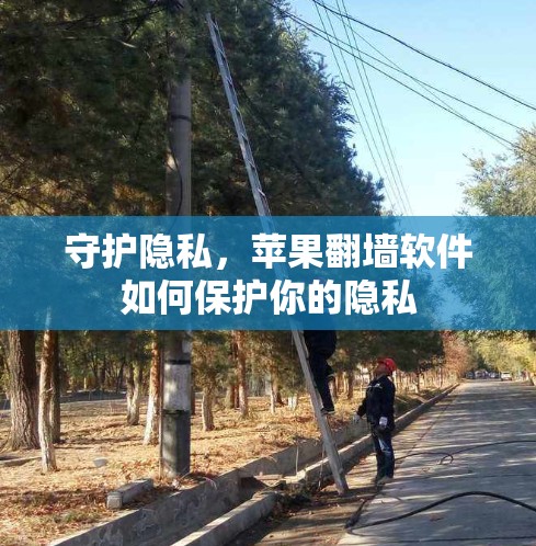 守护隐私，苹果翻墙软件如何保护你的隐私