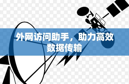 外网访问助手，助力高效数据传输