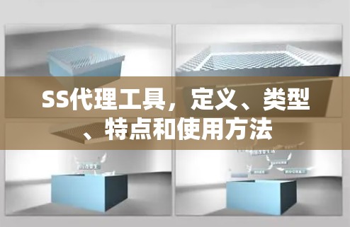 SS代理工具，定义、类型、特点和使用方法