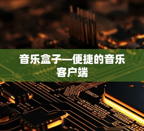 音乐盒子—便捷的音乐客户端