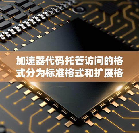 加速器代码托管访问的格式分为标准格式和扩展格式，用于存储和管理加速器代码中的托管访问数据。以下是对这些格式的详细说明