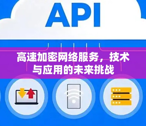 高速加密网络服务，技术与应用的未来挑战