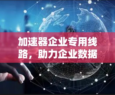 加速器企业专用线路，助力企业数据传输的高效解决方案