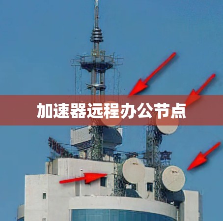 加速器远程办公节点