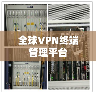 全球VPN终端管理平台
