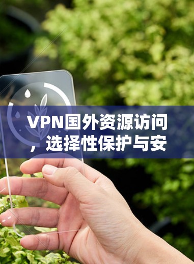 VPN国外资源访问，选择性保护与安全防护