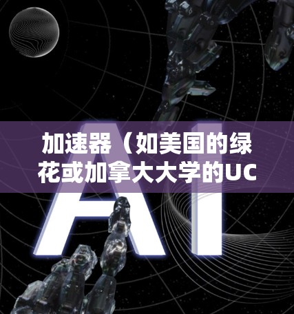 加速器（如美国的绿花或加拿大大学的UCC）的国外访问方案通常需要根据具体的身份和目的来制定。以下是一个通用的国外访问方案框架，供你参考