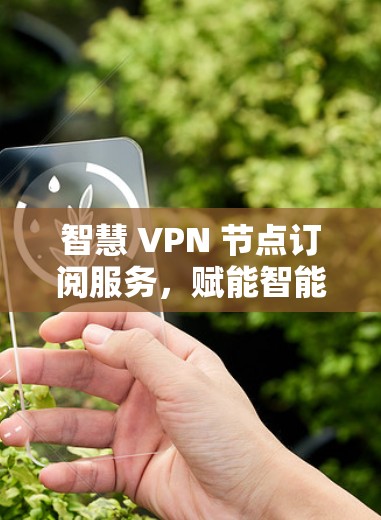 智慧 VPN 节点订阅服务，赋能智能网络的创新解决方案