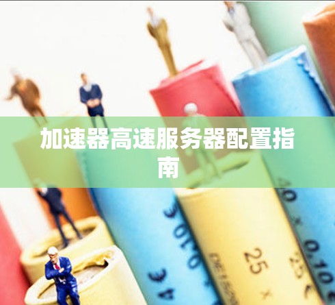 加速器高速服务器配置指南