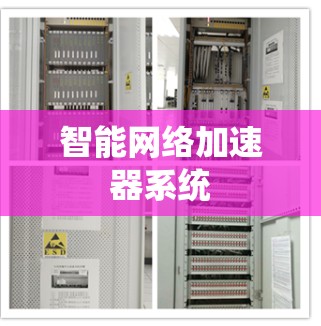智能网络加速器系统