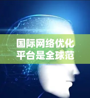 国际网络优化平台是全球范围内用于优化网络连接的综合工具，广泛应用于网络安全、数据传输和网络管理等领域。以下是关于这些平台的详细分析