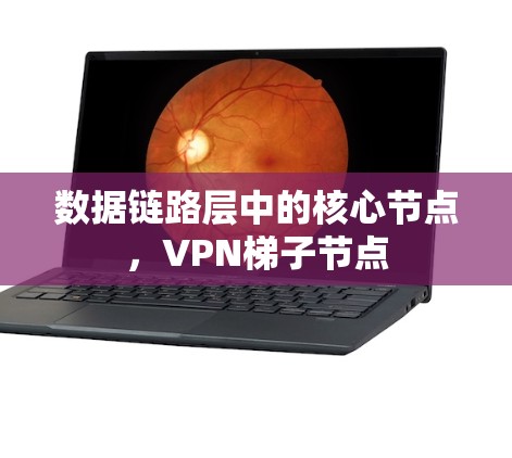 数据链路层中的核心节点，VPN梯子节点