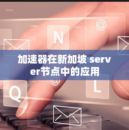 加速器在新加坡 server节点中的应用