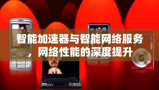 智能加速器与智能网络服务，网络性能的深度提升