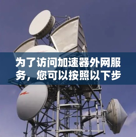 为了访问加速器外网服务，您可以按照以下步骤操作