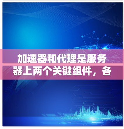 加速器和代理是服务器上两个关键组件，各自在配置和功能上各有特点。以下是针对加速器和代理配置问题的详细分析