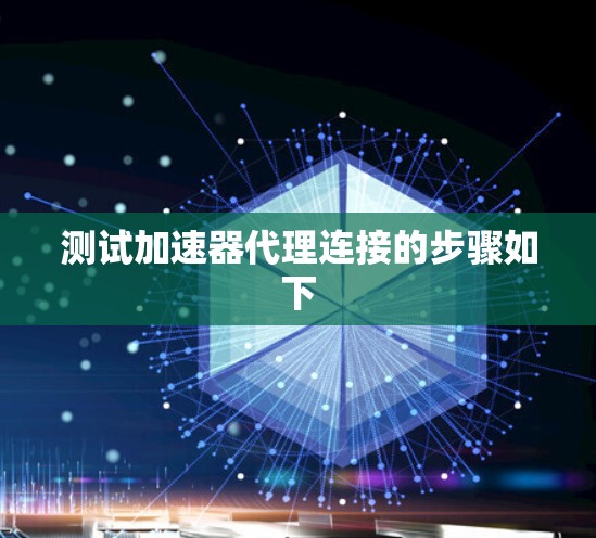 测试加速器代理连接的步骤如下