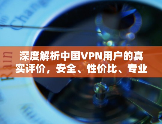 深度解析中国VPN用户的真实评价，安全、性价比、专业性与习惯性