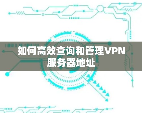 如何高效查询和管理VPN服务器地址