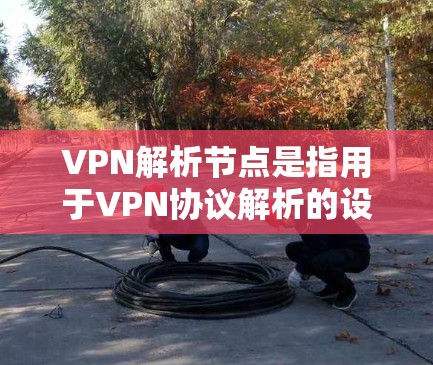 VPN解析节点是指用于VPN协议解析的设备，这些设备负责处理加密信息和确保数据传输的安全性。以下是关于VPN解析节点的一些基本信息