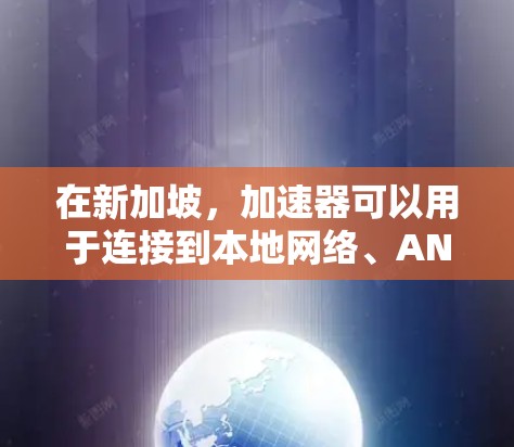 在新加坡，加速器可以用于连接到本地网络、ANZ网、ANZ本地网1、2、3号区或ANZ国际网等。以下是一些新加坡的加速器IP地址，供您参考