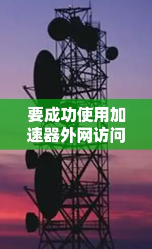 要成功使用加速器外网访问功能，请按照以下步骤操作