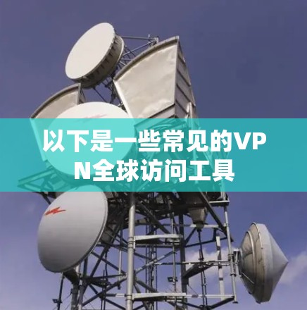 以下是一些常见的VPN全球访问工具