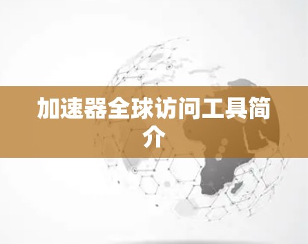 加速器全球访问工具简介