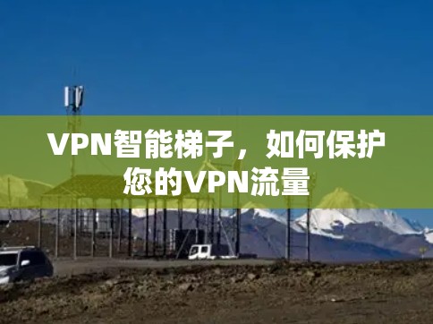 VPN智能梯子，如何保护您的VPN流量