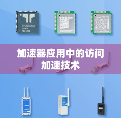 加速器应用中的访问加速技术