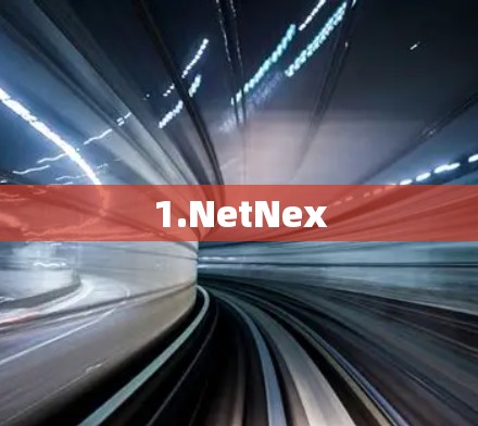 1.NetNex